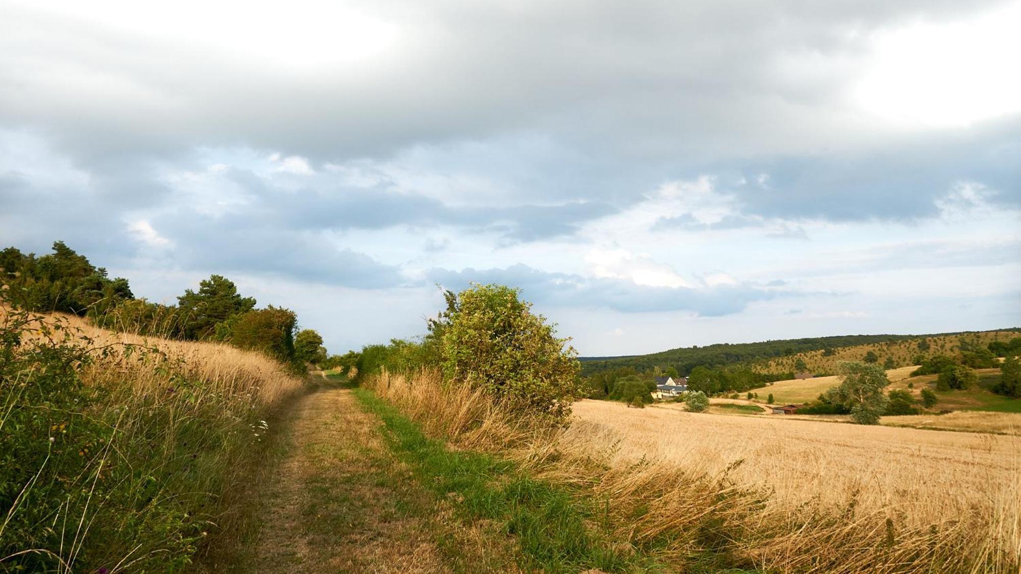 Holzhaus Onkel Fritz Mit Sauna Und Whirlwanne Esch  Εξωτερικό φωτογραφία